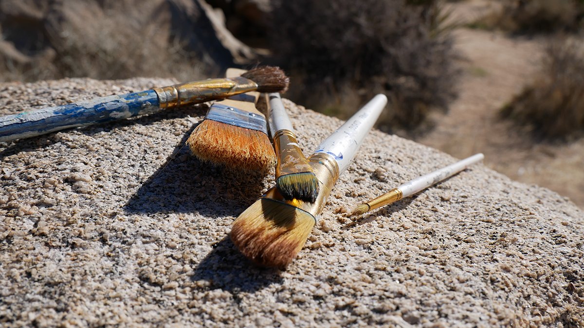 Paint brushes on rock in the desert